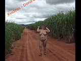 esposa andando pelada na estrada rural
